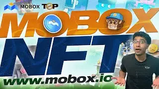Mobox NFT | Mobox NFT How To Earn | Mobox Game