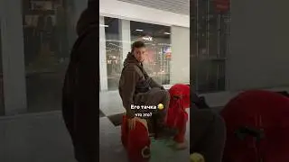 5 сентября 2024 г.