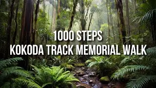 1000 Steps | What You Need To Know