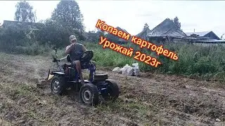 Копаю картофель мотоблоком с передним адаптером. Урожай 2023г.