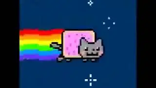 ACHO QUE VI UM GATINHO 🐱