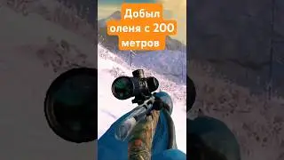 Олень С Большой Дистанции ЧЕЛЕНДЖ