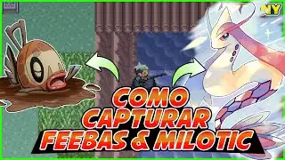Como capturar Feebas e Milotic no Pokémon Ruby, Sapphire e Emerald