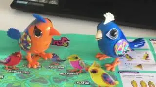 Digibirds Singing
