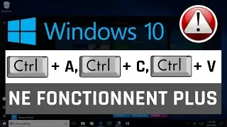 Ctrl A, Ctrl C et Ctrl V ne fonctionnent plus sous Windows 10 [3 Solutions]