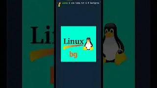 bg command in Linux! 🐧 #linux #shorts #ubuntu