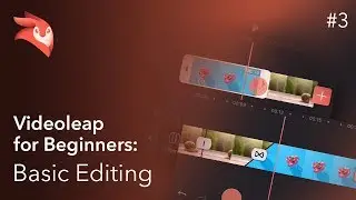 Enlight Videoleap for Beginners: Basic Editing