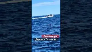 Белое море. Дорога к Соловецким островам. #соловки #альбертсеверный #белоеморе