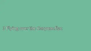 3 Flying over the Canyons