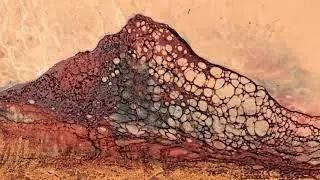 The Fine Art of Melanie Williams in Copper, Gold, Pewter and Bronze