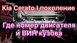 Kia Cerato где номер двигателя и вин 