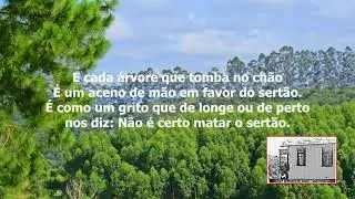 Meu sertão _ Letra e Música: José Acácio Santana