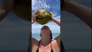 Колумбийский кокосик 