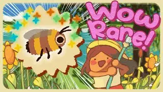 Join us Hunting for Rare Bugs in Kabuto Park!