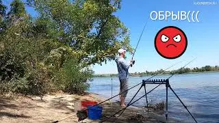 Ловля сазана на реке. Обрывы, срезы и сходы😡
