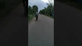 Прогулка по Жибек Жолы на велосипеде 27.06.2021