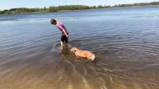 Puppy's First Swim (4K)
