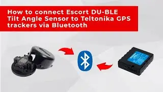 How to connect Escort DU-BLE and other Escort BLE sensors to Teltonika GPS trackers via Bluetooth