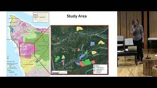 Type 3 Watershed Experiment