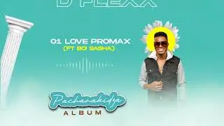 D-Flexx - Love Promax (Official Audio) ft Boi Sasha