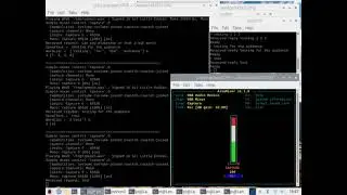 Appeal for Help - Stop a Hearing/Speech Feedback Loop in my Robot:  BOUNTY OFFERED!  See Description