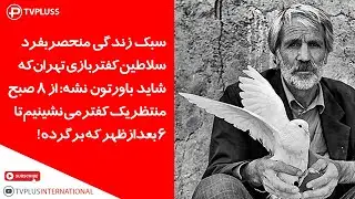 سبک زندگی منحصربفرد سلاطین کفتربازی تهران که شاید باورتون نشه