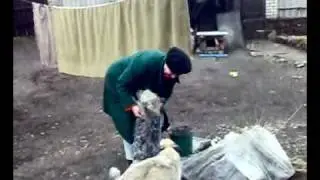 бабка танцует тектоник.mp4