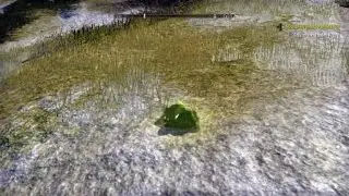 Flubber - Voriplasm Pet Eso