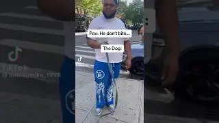 #pov : When They Say They Dog Doesn’t Bite…😹 #druski #shortsviral