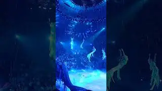 Цирк. Казань. Январь 2024