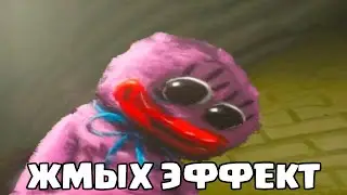 ЭТО СИНИЙ ХАГИ ВАГИ Все Виды