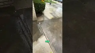 Pressure Washing Business After 2 Weeks!