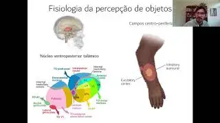 Aula 16 - Os sentidos da pele (parte 3)