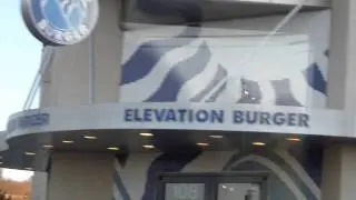 I wonder if any elevator photographers have eaten here...