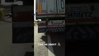 Сел на хвост