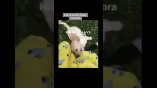 XXXTENTACION Funny Moments 🤣 #xxxtentacion #ripx #llj #fyp #explore #trending