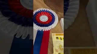 Вечером бокал брюта и спаааать