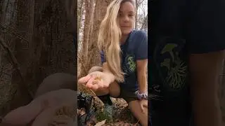 First morels of the season babyyy!! 