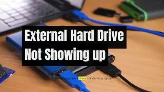 External hard drive not showing up in file explorer Windows 10/11