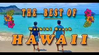 Hawaii Top 10 Things to do at The Hilton Hawaiian Village Waikiki Beach Resort