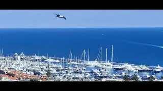 European Yacht Brokers Sanremo