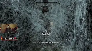 Chaos Bot on Skyrim can be brutal