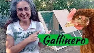 Gallinero móvil, portátil, tractor... vamos, que se cambia de sitio 🐔🚜