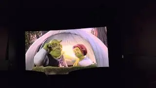 Shrek 25th Anniversary RE-Release