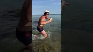 Коли трішки відволікся #юмор #funny #сміхдосліз #comedy #кум