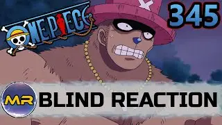One Piece Episode 345 BLIND REACTION | WONDER GARDEN!