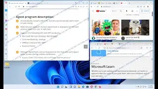 Display watermarks in the web browser only when the specified site is opened