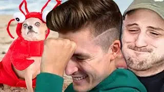 You Laugh You Lose with Slime