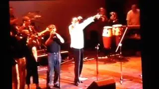 The Blues Collective, Milton Keynes Theatre, 2001