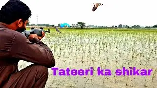 Airgun hunting in Pakistan ||